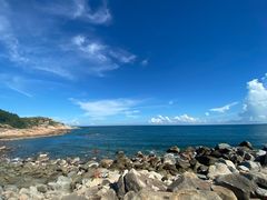 -广东惠东海龟国家级自然保护区