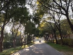 -贡湖湾湿地公园