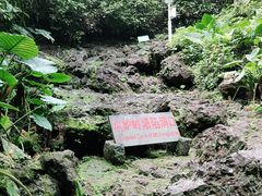 -海口火山口国家地质公园