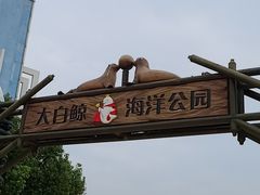 -芜湖新华联大白鲸海洋公园