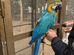 -南宫五洲植物乐园