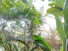 -泰堤坊(淡水体育馆店)