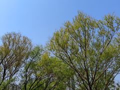 -郑东新区湿地公园