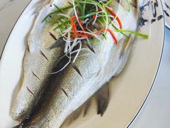 -蟹天蟹地农家菜·阳澄湖大闸蟹(浅水湾店)