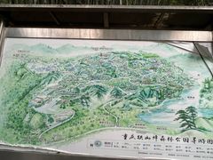 -铁山坪森林公园