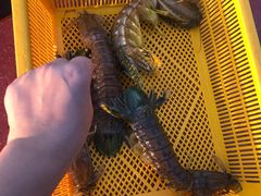 -大螃蟹海鲜餐厅