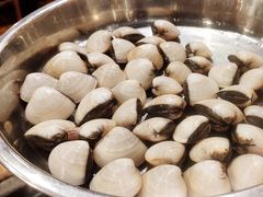 白贝-顺德一品粥·20年凤城老字号(芳村店)
