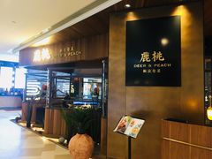 -大树餐厅(益田假日店)