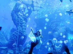 -波塞冬海底世界