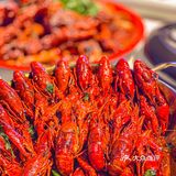 沈阳探店｜我最爱的小龙虾季终于来了！