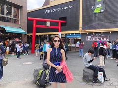 -富士山吉田線五合目