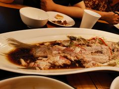 清蒸大白刁-鱼鲜饭香·招牌汽锅剁椒鱼头王