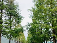 -浙江大学(海宁国际校区)