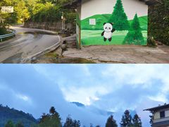 -龙苍沟森林公园