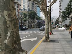 -汉庭优佳(上海恒隆广场南京西路地铁站店)