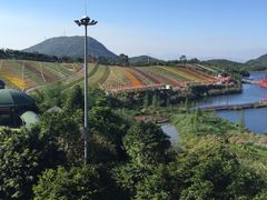 -东部华侨城