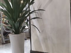 -奇迹健身(金牛凯德店)