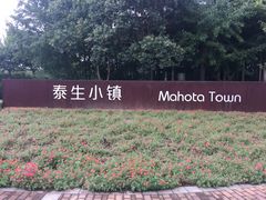 -太阳岛度假酒店