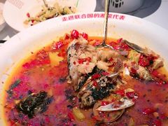 -坛宗剁椒鱼头(河西王府井店)