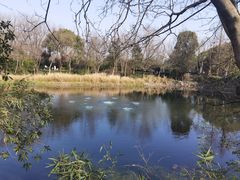 -西溪国家湿地公园