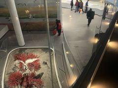 -盐城丹顶鹤湿地生态旅游区
