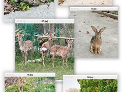 -不觉晓CAMPING(上海迪士尼营地店)