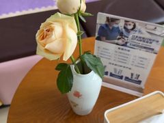 -土豆口腔(凤凰北总店)