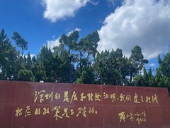 -莲花山公园