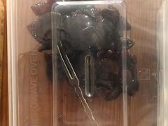 蜂蜜杏干-梁子刨冰王&梁小糖(王顶堤店)