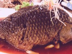 -津菜宋记老房子(鼓楼店)