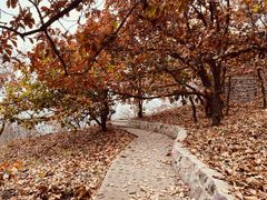 -北京十三陵国家森林公园蟒山景区