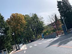 -棒棰岛宾馆景区