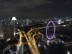 -新加坡丽思卡尔顿美年酒店