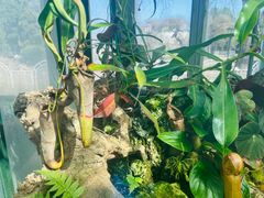 -国家植物园南园