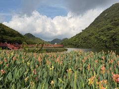 -广州市石门国家森林公园