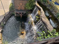 -海南槟榔谷黎苗文化旅游区