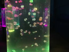 -苏州海洋馆