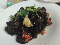 -新渝城·川菜·火锅(区庄店)