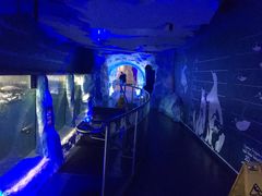 -凯莉-塔尔敦海洋生物水族馆