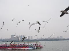 -蠡湖大桥公园