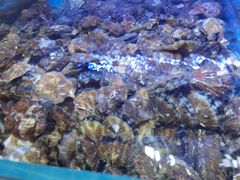 -前王院•巧克力海鲜市集餐厅(万平口店)