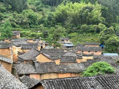-杨家堂村