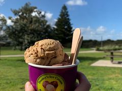 -Dooley's Premium Ice Cream