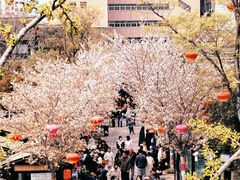 -回龙窝历史文化街区