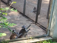-合肥野生动物园