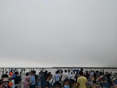 -奉贤海滩