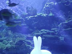 -海合安武汉极地海洋公园