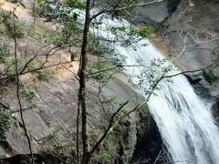 -九龙江国家森林公园