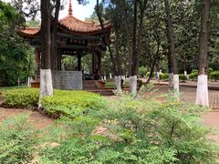 -昆明动物园
