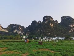 -明仕田园